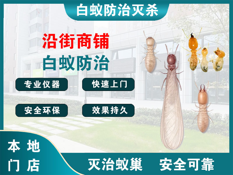 海宁市沿街商铺白蚁防治