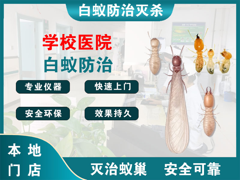 海宁市学校医院白蚁防治