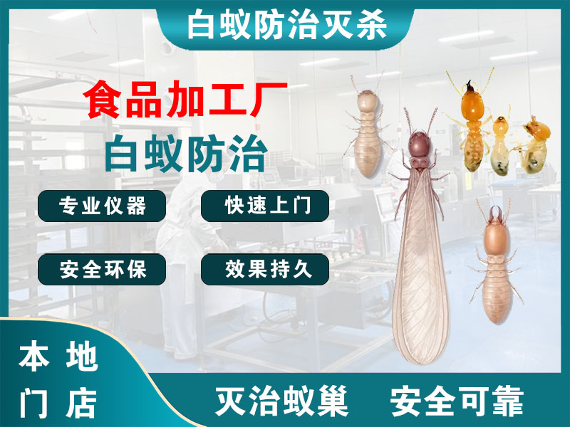 海宁市食品加工厂白蚁防治