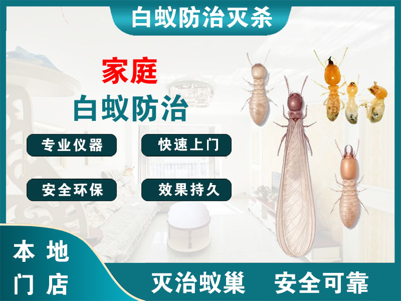 海宁市家庭白蚁防治