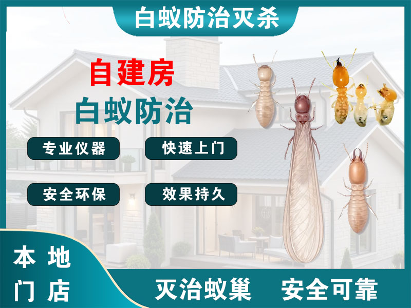 海宁市自建房白蚁防治