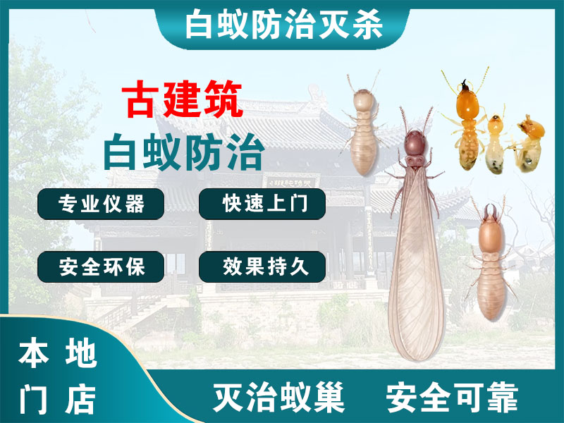 海宁市古建筑白蚁防治