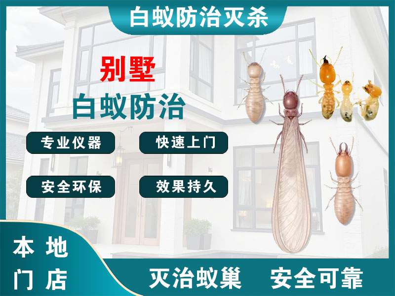 海宁市别墅白蚁防治