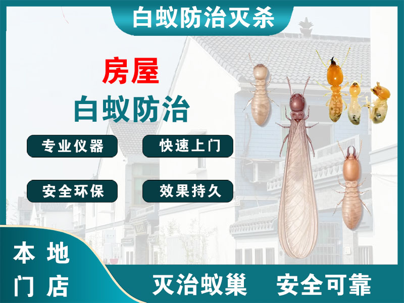 海宁市房屋白蚁防治